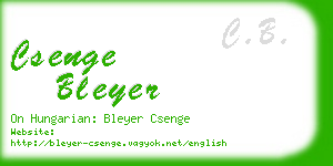csenge bleyer business card